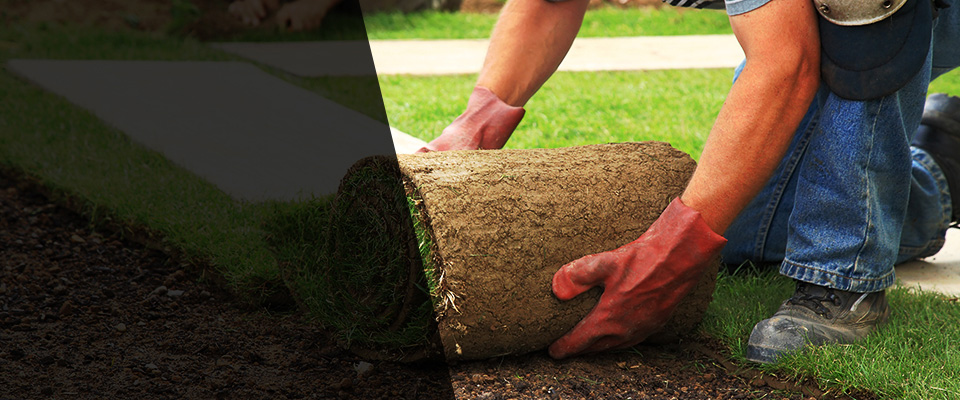 Kealakekua Landscapers